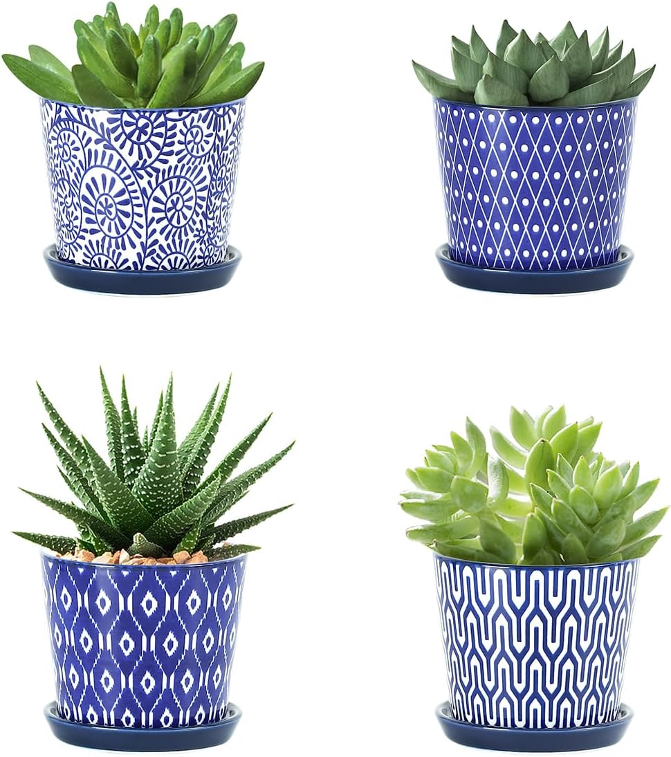 Selamica Ceramic Succulent Pots, 3.4 Inch Small Pots for Plants with Drainage Holes and Saucers