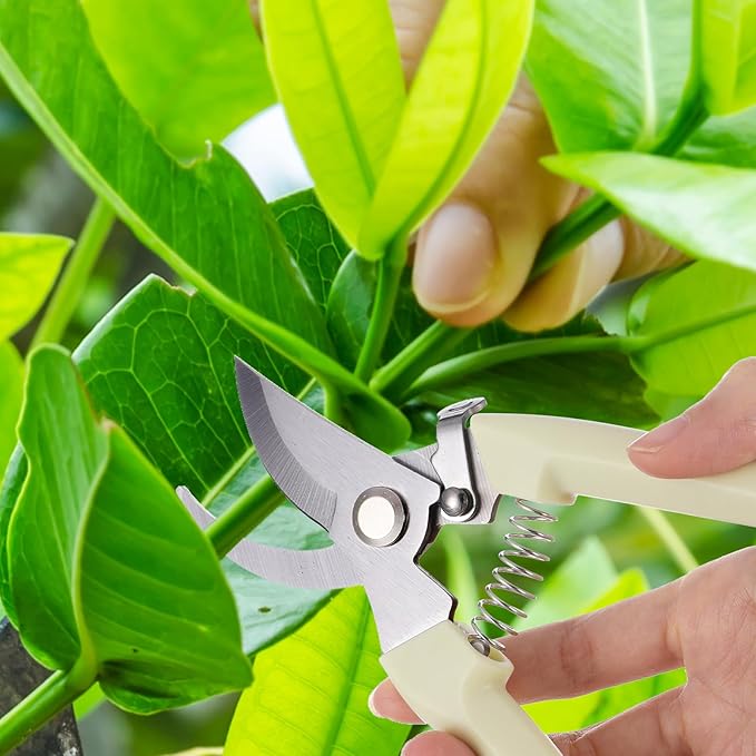 20 Garden Flower Shears Pruning Scissors Heavy Duty Plant Scissors Trimming Garden Clippers Hand