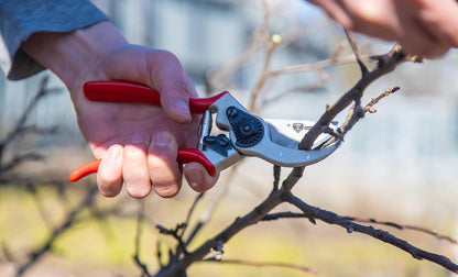 – Professional Bypass Hand Pruning Shears – Durable, Heavy Duty, Landscaping