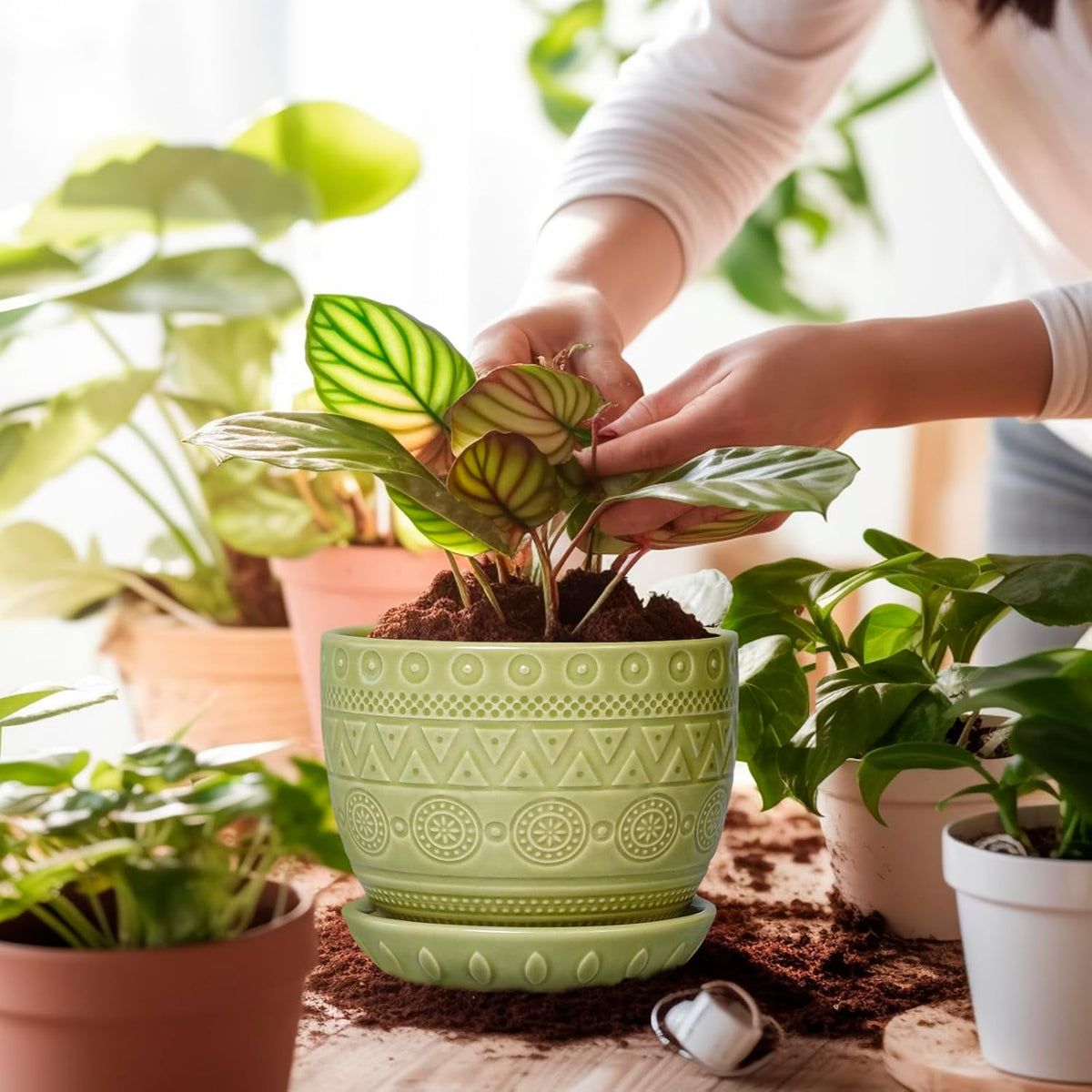 G EPGardening Indoor Plant Pot 5.5 Inch - Ceramic Planter with Drainage Hole and Saucer, Round Boho