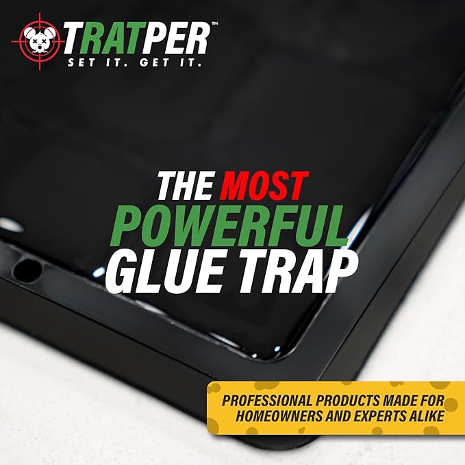 Glue Traps for Mice,Rat,Mouse,Snake,Lizard,Insect. 10 Pack. Extra Strength,Pre-Baited