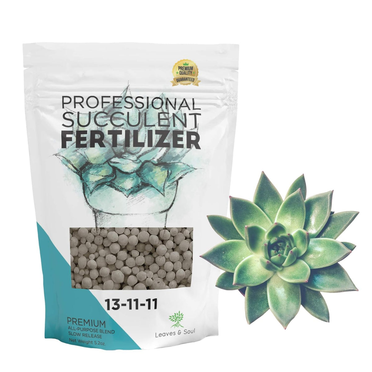 Leaves and Soul Succulent Fertilizer Pellets |13-11-11 Slow Release Pellets for All Cactus and