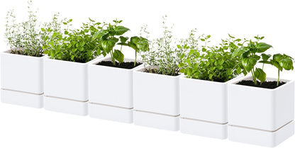 4 Inch Herb Planter Pot, Plastic Planter with Drainage Holes and Saucer, Modern Decorative
