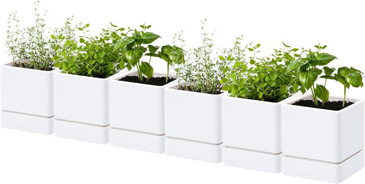 4 Inch Herb Planter Pot, Plastic Planter with Drainage Holes and Saucer, Modern Decorative
