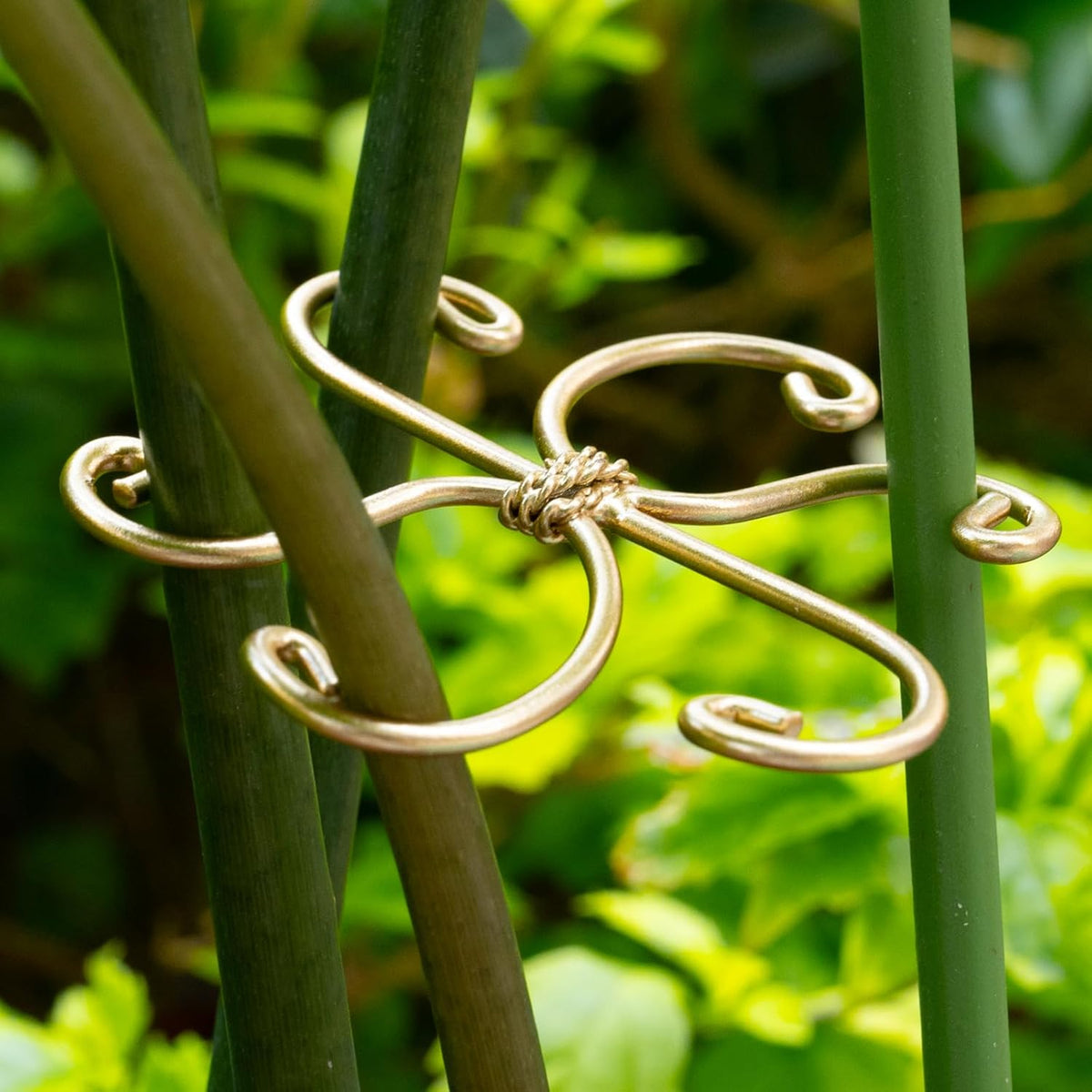 5Pcs Monstera Plant Stem Support Hook (2.75x2.75 inches) - Durable Metal Stem Support for Monstera