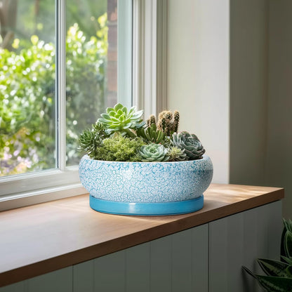 Bonsai Pots - 13 Inch Ceramic Succulent Pots with Drainage Hole and Tray, Large Succulent Planter