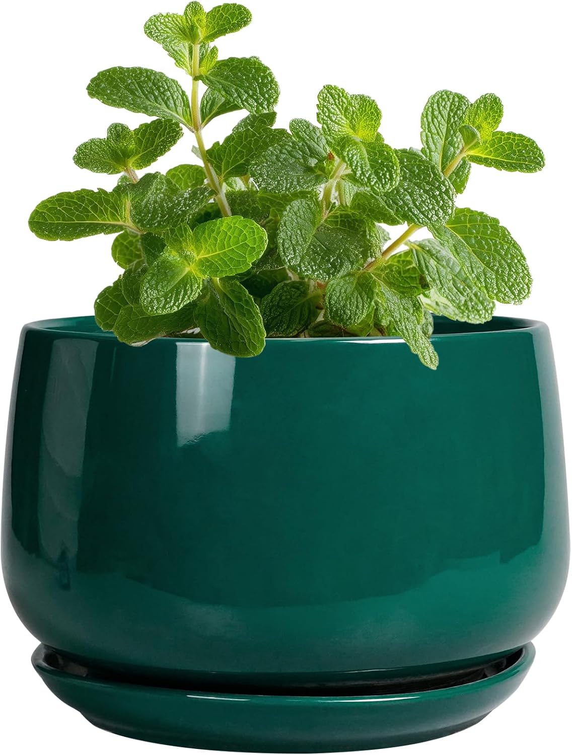 G EPGardening 4 inch Plant Pots - Small Ceramic Planter with Drainage Hole & Tray, Succulent Pots
