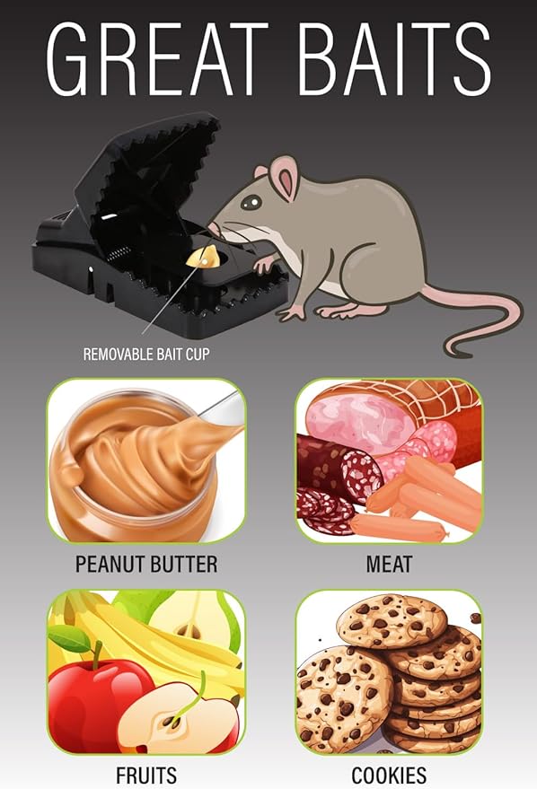 Mouse Traps Indoor (6 Pack) Catch Rats, Mice, and Voles Fast with These Simple to Bait, Safe to