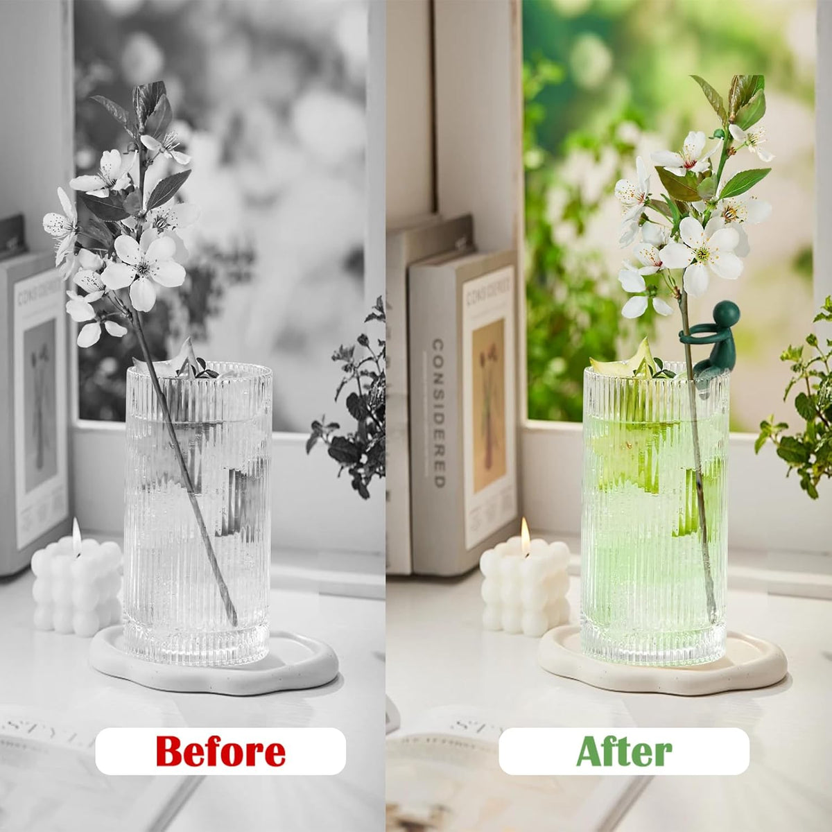 6pcs Plant Propagation Buddy, Propagated Plant Holders,Plant Stem Support,Plant Support for