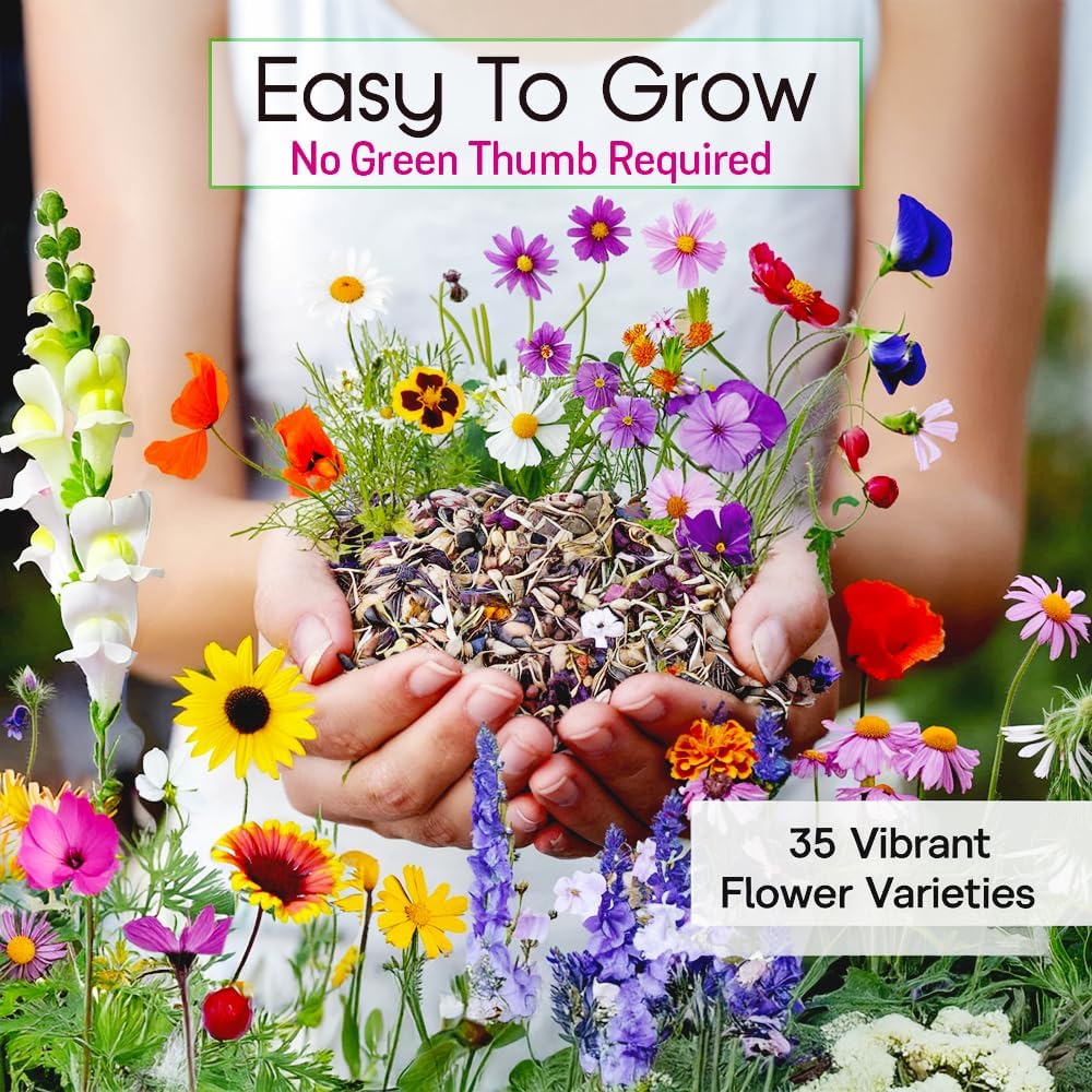 NatureZ Edge Wildflower Seeds, 1/2 lb, 340,000 Seed, 35 Variety Perennial & Annual Flower Seeds to