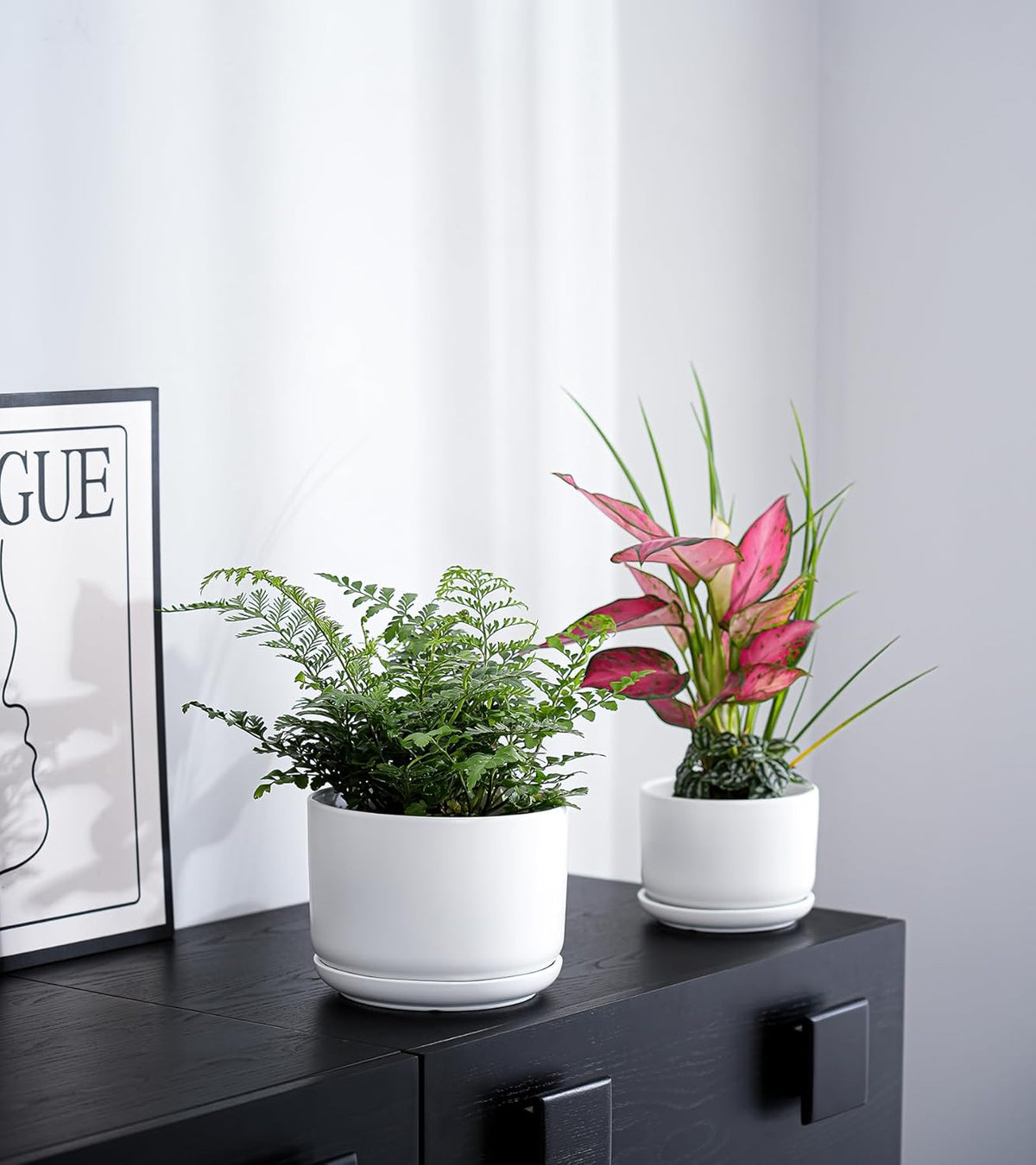 Ton Sin Plant Pots, 4.1+5.1+6.5 inch, Set of 3, Ceramic Planters with Drainage Hole and Saucer