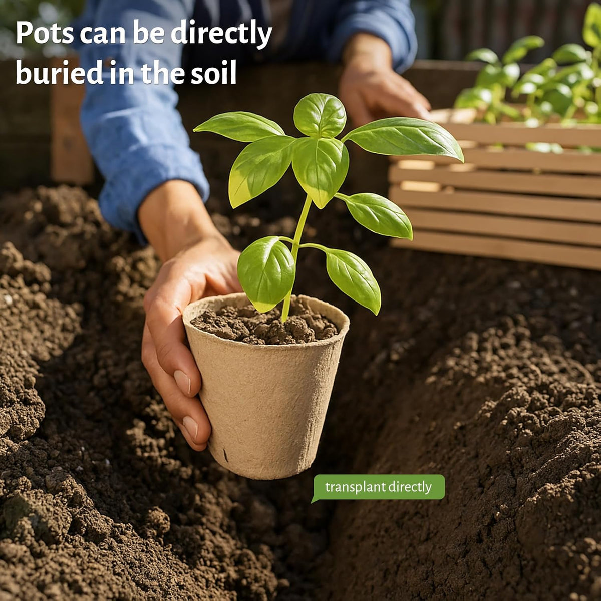120 Packs 3.15 Inch Peat Pots, Biodegradable Pots for Seedlings with Drainage Holes, Herb Seed