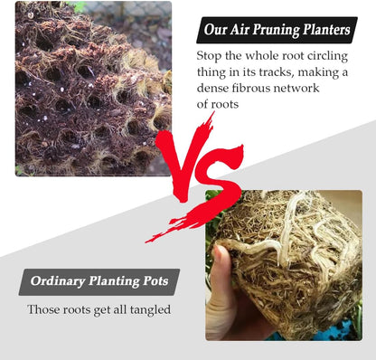 Air Pruning Planters 5 Gallon 6-Pack, Sturdy Plastic Roots Control Planter Container for Fruit