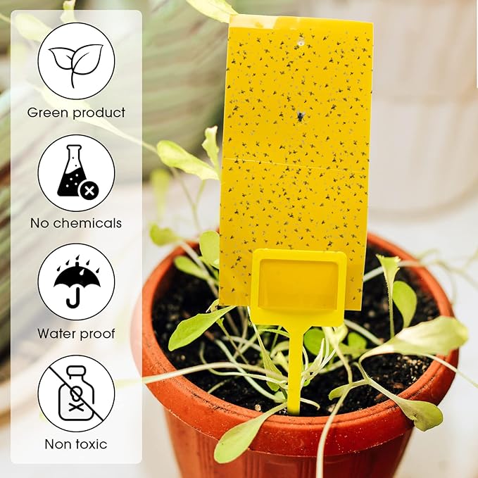 220 Pcs 7.9 x 4 Inch Sticky Traps for Plant Gnats Double Sided Sticky Traps with Twist Ties for