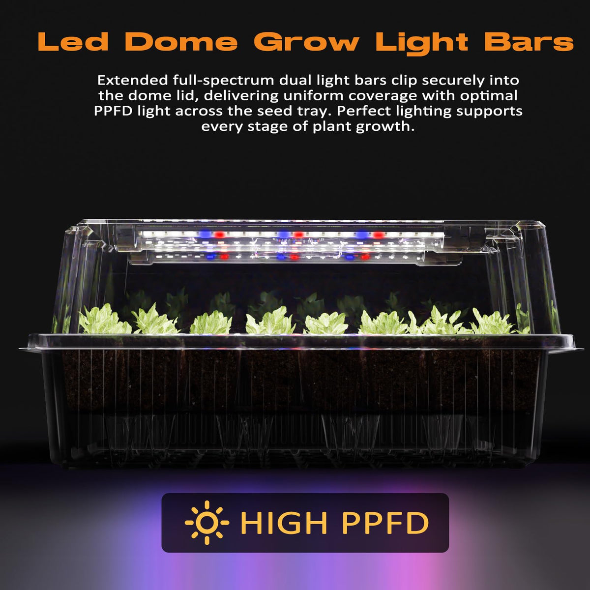 Patigrow 80-Cell Self-Watering Seed Starter Tray with Grow Light, Seed Starter Kit with 4.07”