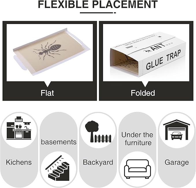 Qualirey Ant Traps Indoor, Upgraded Peanut Butter Scented, Larger 10pcs Ant Spider Cockroach