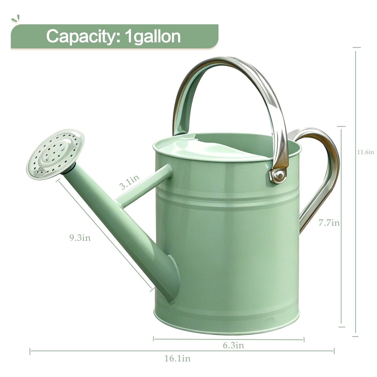 Metal Watering Can for Outdoor Plants, Watering Can 1 Gallon,Cream Green
