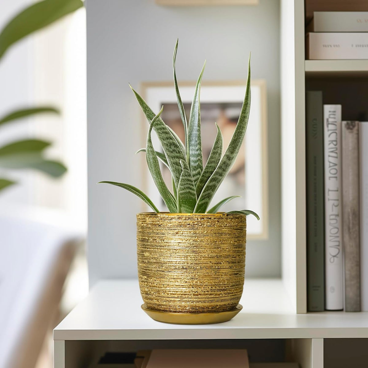 Succulent Pot 5 Inch - Ceramic Plant Pot for Indoor Flowers, Decorative Round Indoor Planter with