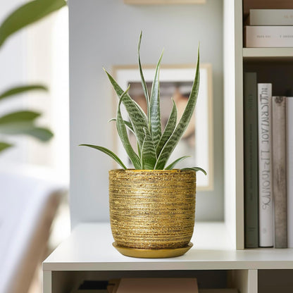 Succulent Pot 5 Inch - Ceramic Plant Pot for Indoor Flowers, Decorative Round Indoor Planter with
