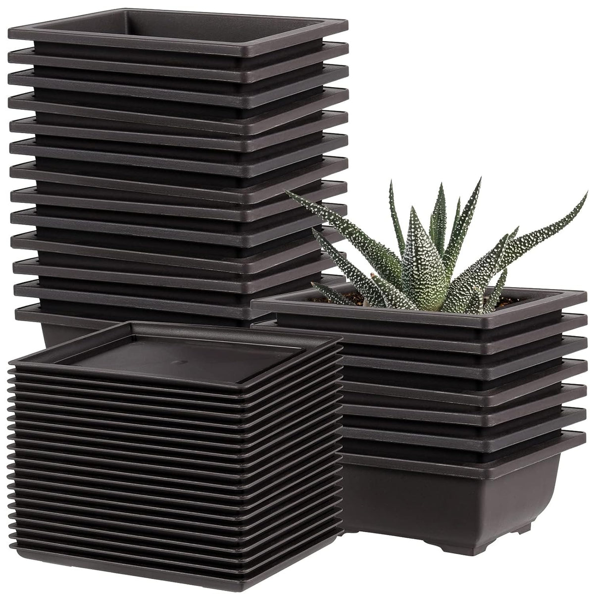20 Packs 6.5 Inches Bonsai Training Pots, Plastic Bonsai Tree Pots with 20 PCS Trays, Rectangular