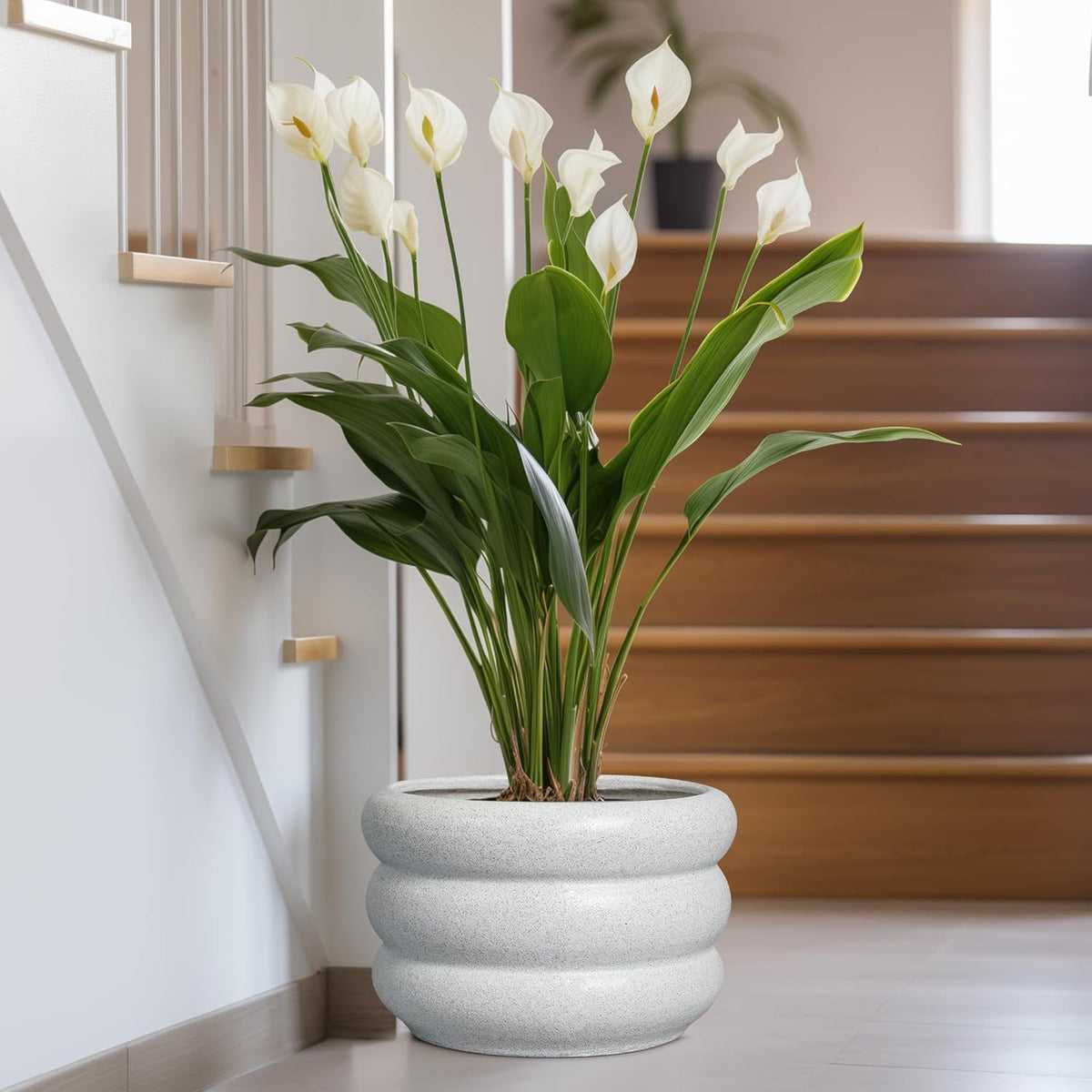 SQOWL Ceramic Planter Pot 13.5 Inch - Plant Pot Indoor with Drainage Hole Large Flower Pot Outdoor