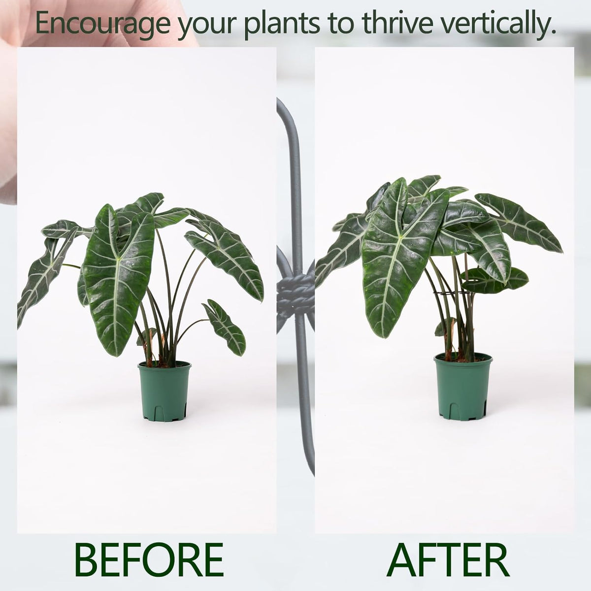 Monstera Plant Support Hook - 4.1x4.1IN 5PCS, Durable Adjustable Stem Support System, Gentle