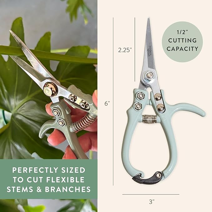 Modern Sprout Pruning Shears - Herb Snipping Scissors- Lightweight Gardening Tools W/Easy Lock