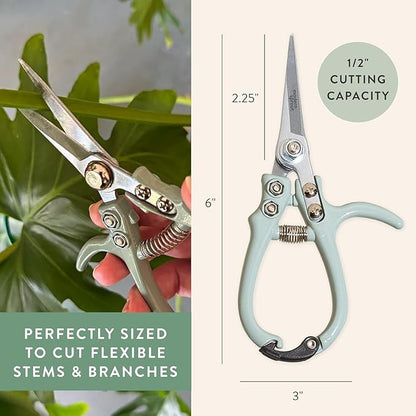 Modern Sprout Pruning Shears - Herb Snipping Scissors- Lightweight Gardening Tools W/Easy Lock