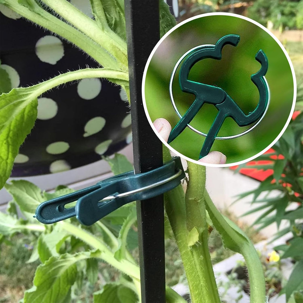 Plant Clips for Climbing Plants, Tomato Clips and Garden Clips for Vine Support, Plant Support