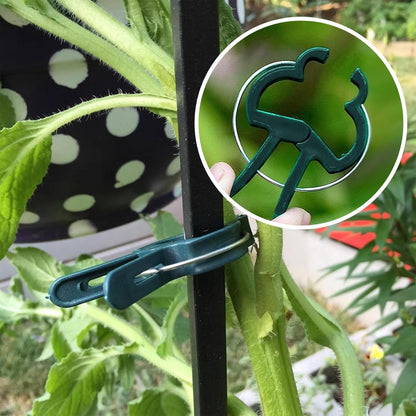 Plant Clips for Climbing Plants, Tomato Clips and Garden Clips for Vine Support, Plant Support