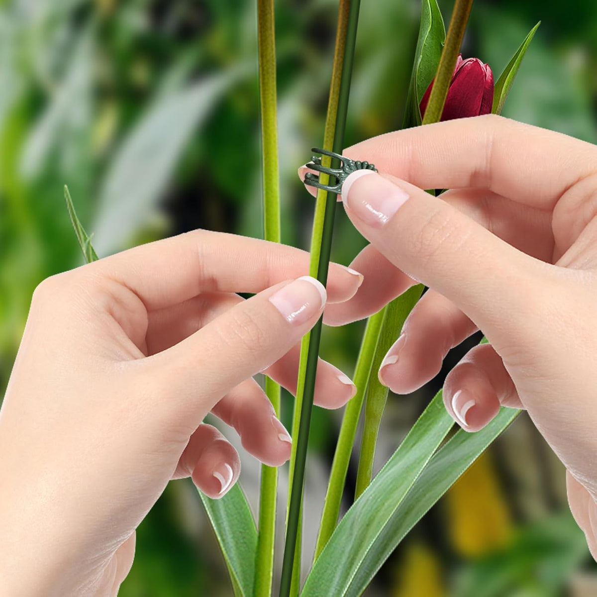 10pcs Green Plant Support Stakes with 15pcs Clips, Bendable Stakes for Tall Plants, Indoor &