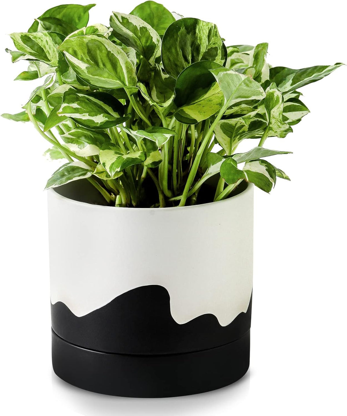 Nihow Ceramic Plant Pot: 6 Inch Planter with Drainage Hole & Saucer for Indoor & Outdoor Plants