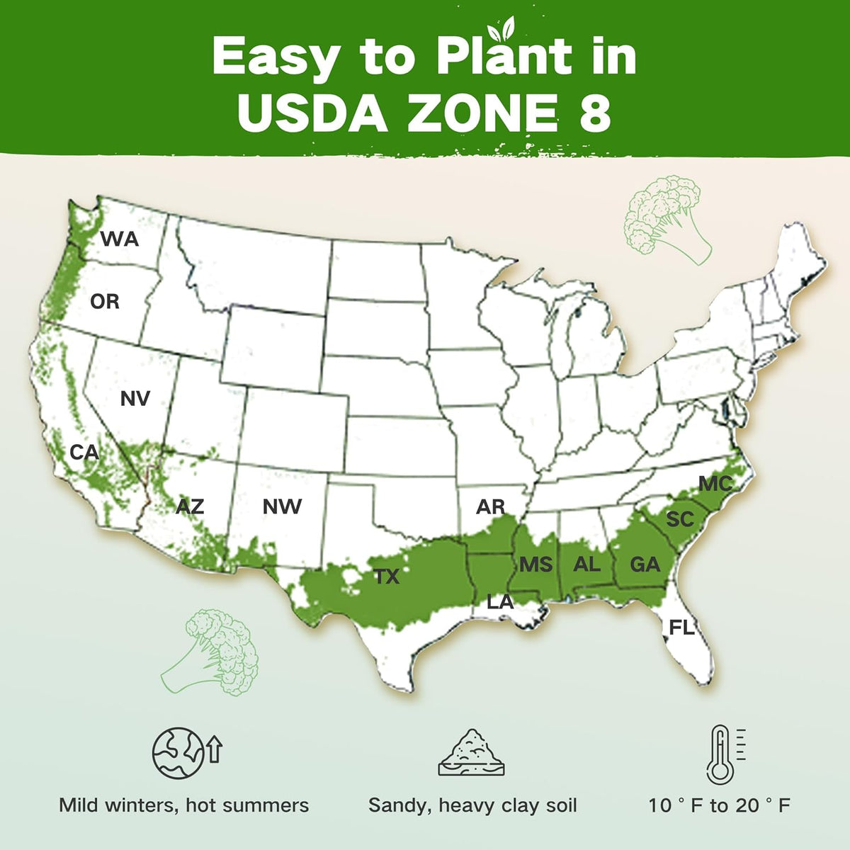 USDA Zone 8 Heirloom Seed Bank, 30,000+ Non-GMO 32 Varieties of Seeds for Planting Vegetables