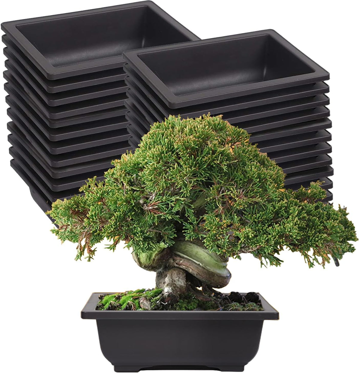 KINJOEK 25 PCS 6.5 Inch Plastic Bonsai Training Pots, Rectangular Plant Bonsai Tree Pot, Starter