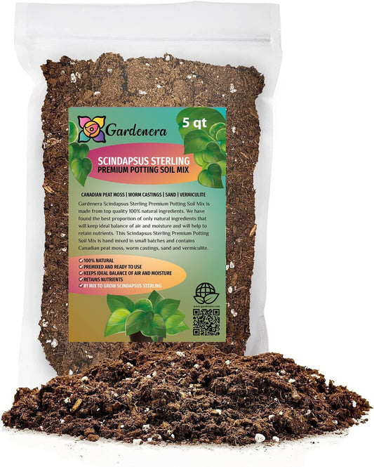 Premium Scindapsus Sterling Plant Soil Mix by Gardenera - Stimulate Growth and Elevate Variegation