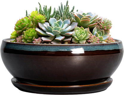 SQOWL Succulent Planters 8 Inch - Ceramic Bonsai Pots with Drainage Hole and Ceramic Saucer, Round