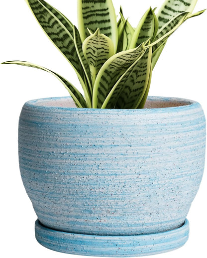 SQOWL Ceramic Planters for Indoor Plants - 6 Inch Plant Pot Indoor Outdoor, Decorative Flower Pot
