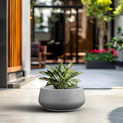 Kante 16.9" Dia Round Concrete Bonsai Planters, Outdoor Indoor Garden Plant Pot with Drainage Hole