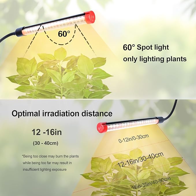 4-Head Desk Grow Lights for Indoor Plants, Seed Starting, Bonsai, Succulent, Cactus with Timer, 36W