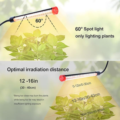 4-Head Desk Grow Lights for Indoor Plants, Seed Starting, Bonsai, Succulent, Cactus with Timer, 36W