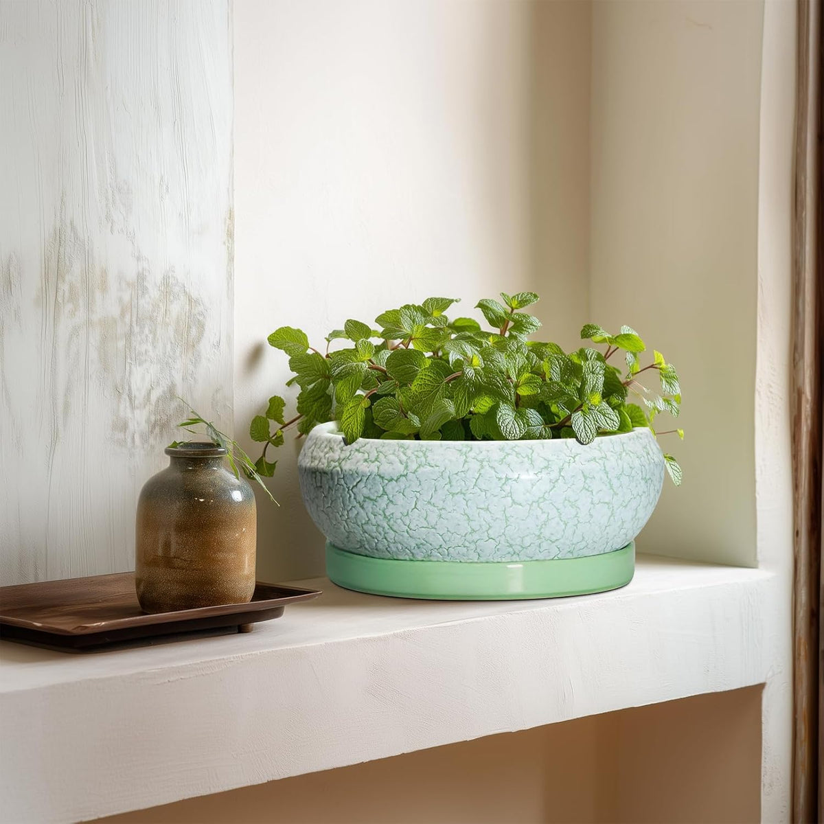Bonsai Pots Ceramic - 8 Inch Succulent Pots Indoor Outdoor, Shallow Planters with Drainage Hole and