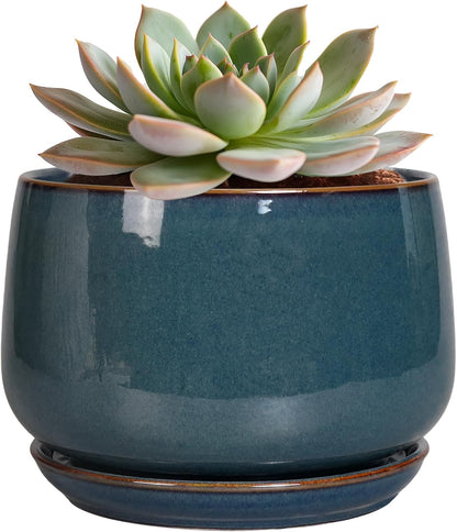 G EPGardening Ceramic Planter 6 Inch - Round Modern Ceramic Pot for Plants with Drainage and Plant