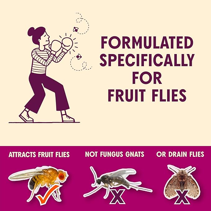 Aunt Fannie's FlyPunch Fruit Fly Trap Bundle for Indoor and Kitchen Use, Ready to Use, Made with