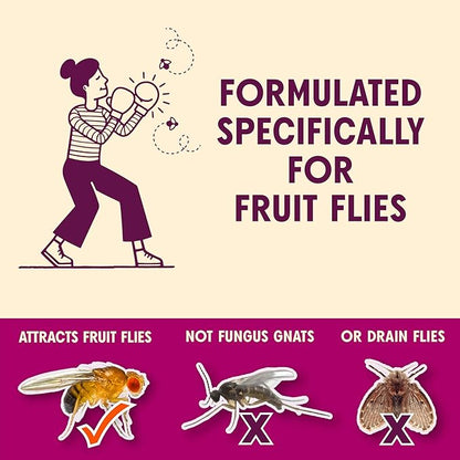 Aunt Fannie's FlyPunch Fruit Fly Trap Bundle for Indoor and Kitchen Use, Ready to Use, Made with