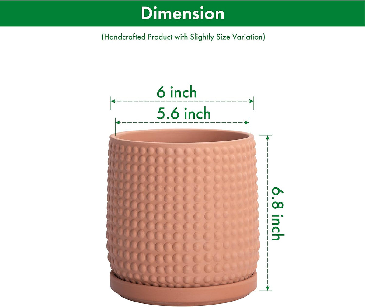 D'vine Dev 6 Inch Terracotta Beaded Planter Pot - Flower Pot with Drainage Hole and Saucer for