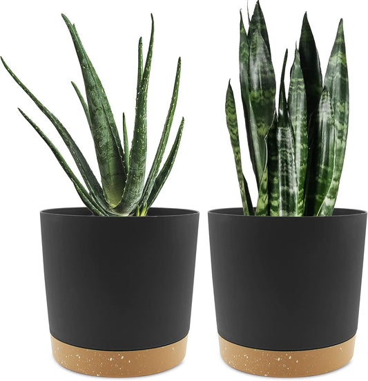 QCQHDU 8 inch Plant Pot, 2 Pack Planters for Indoor Plants with Drainage Holes & Saucer, Outdoor