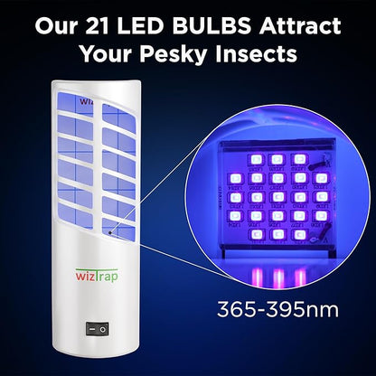 2-Pack Large Indoor Plug in Fly Trap, 21 UV LED Bulbs, 10 Sticky Glue Board Refills, A Home Gnat