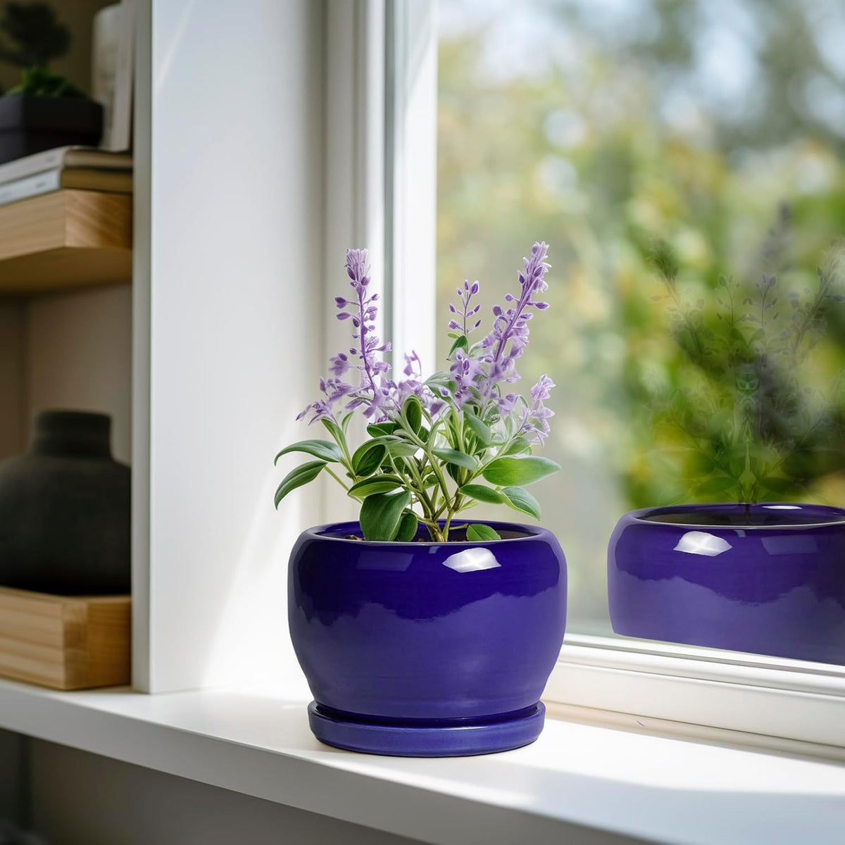 SQOWL Ceramic Planters for Indoor Plants - 6 Inch Plant Pot with Drainage Hole and Saucer, Round