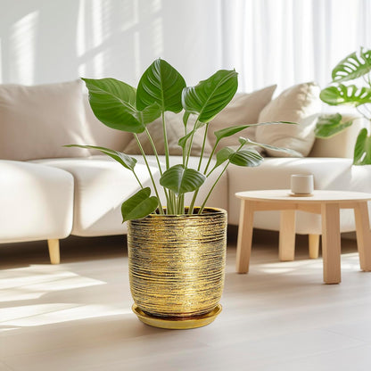 Ceramic Flower Pot for Indoor Plants - 10 Inch Plant Pot with Drainage Hole and Saucer, Decorative