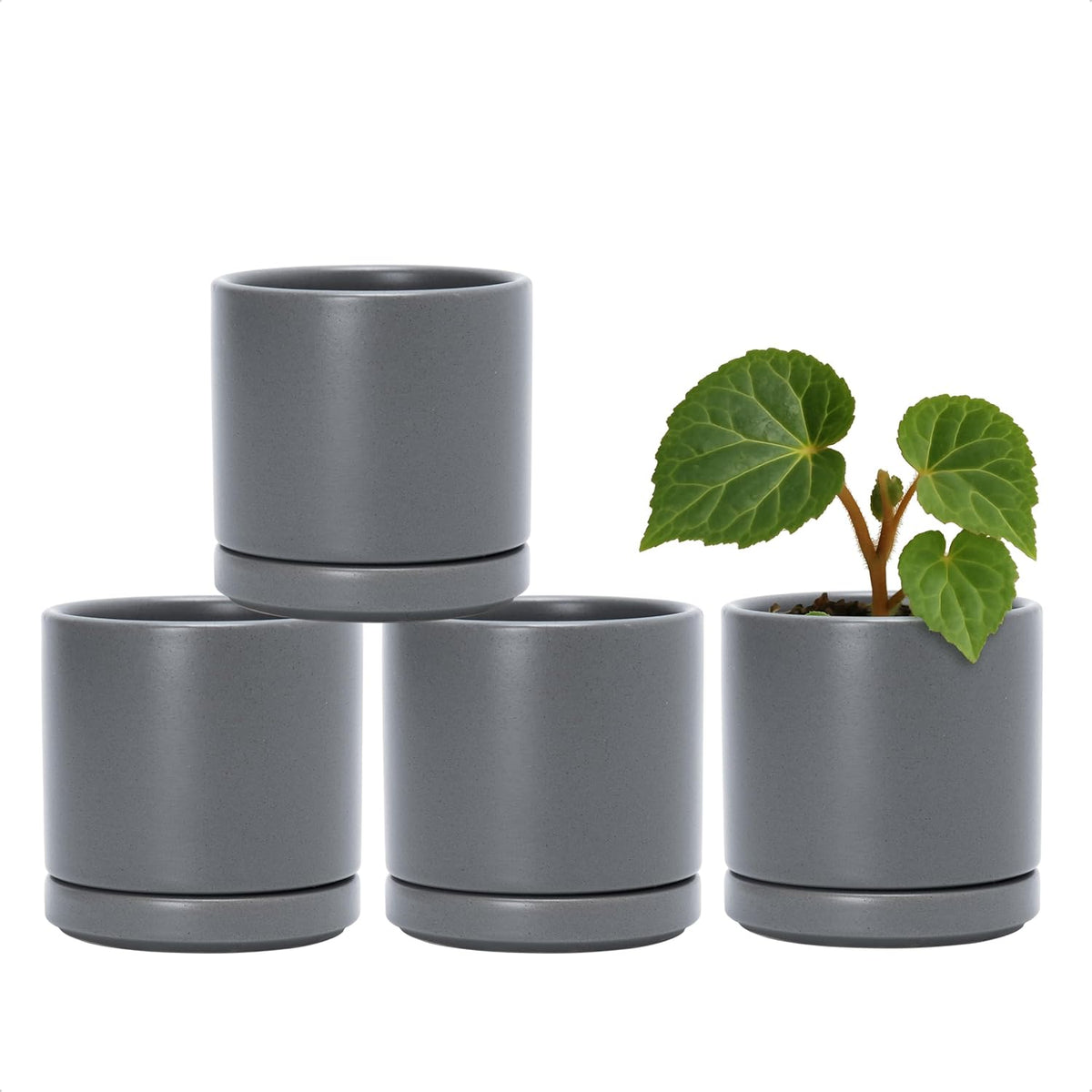 D'vine Dev Set of 4 Small Ceramic Plant Pots, 3.5 Inch Succulent Planter Pot for Plants with